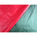 20d Nylon Taffeta Fabric for Down Coat (XSN005)